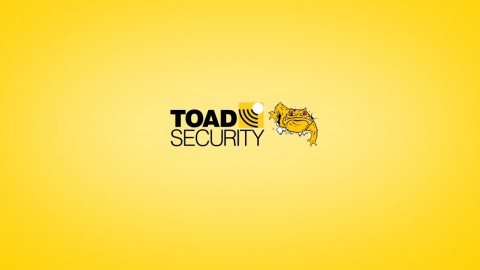 News-toad